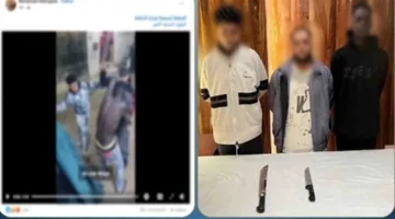 بسبب ثمن هاتف.. الأمن يضبط طرفي مشاجرة بالأسلحة البيضاء في مدينة نصر